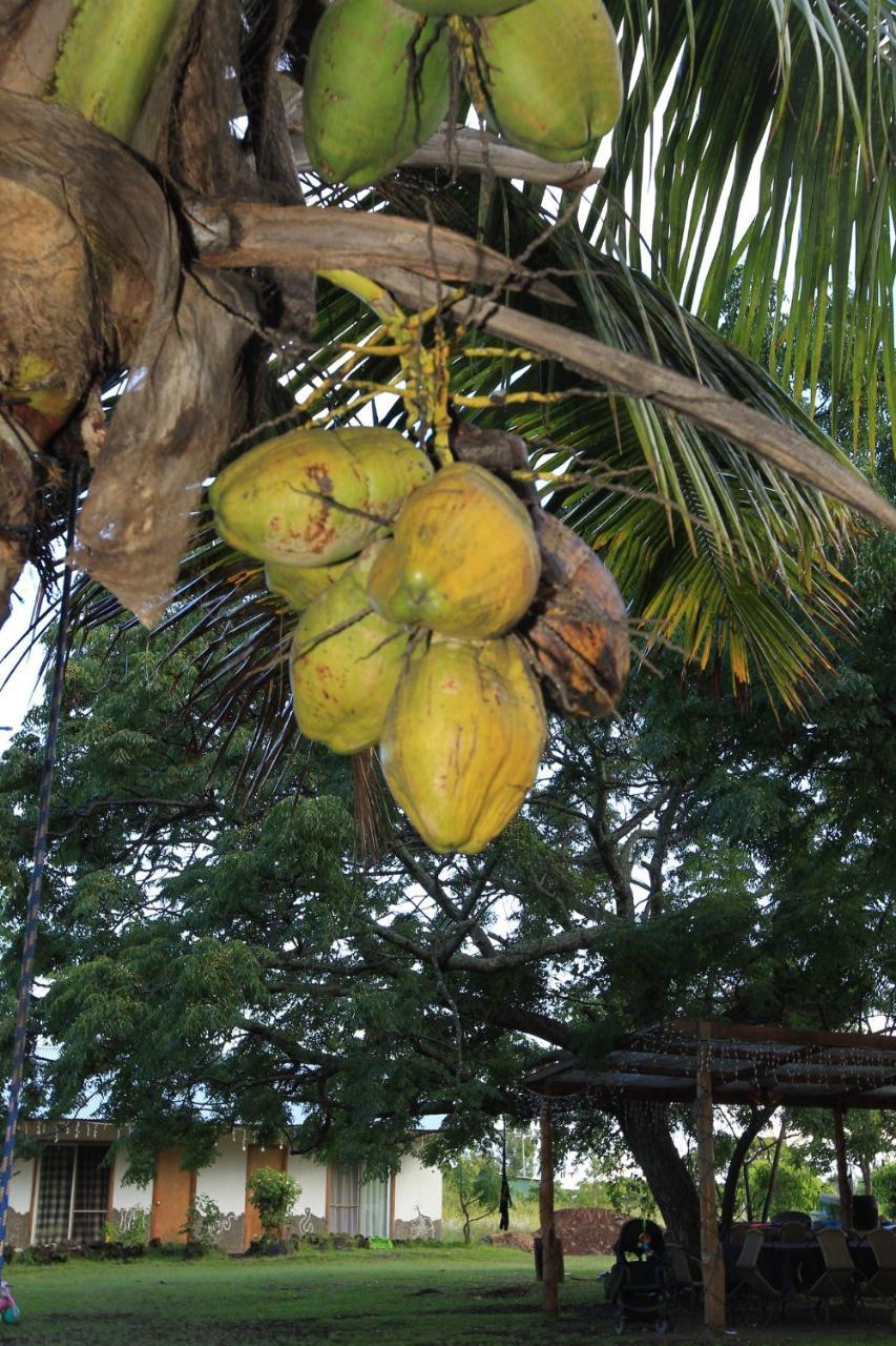 Hare Pakoba Guest House Hanga Roa Exterior photo