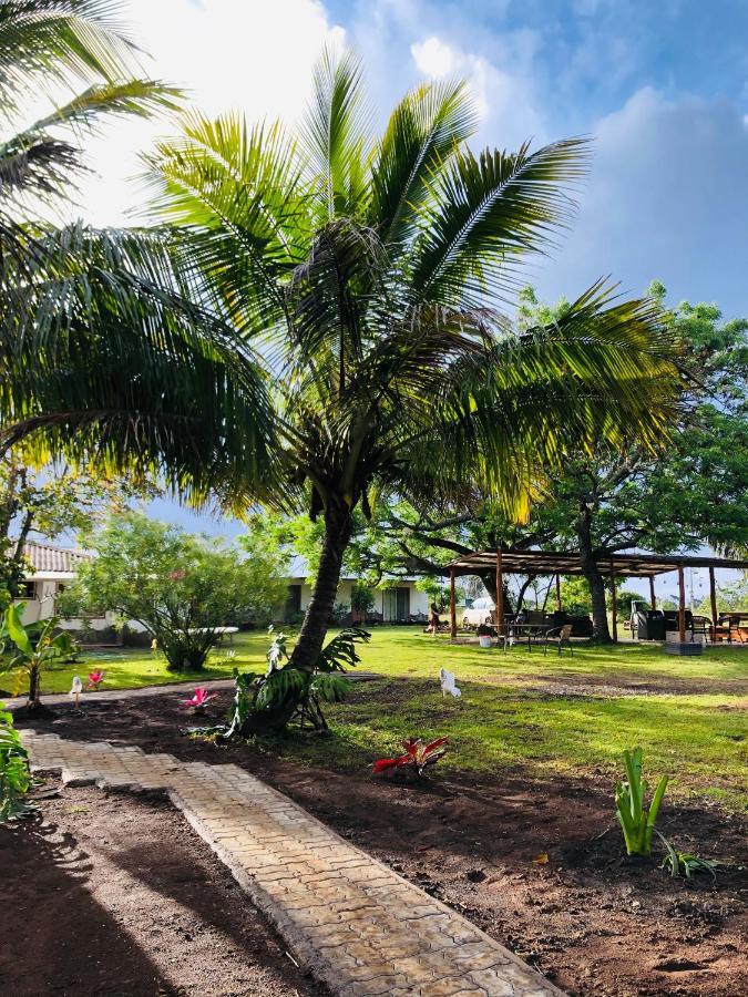 Hare Pakoba Guest House Hanga Roa Exterior photo